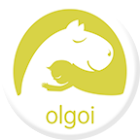 olgoi儿童故事